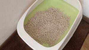 猫のトイレ