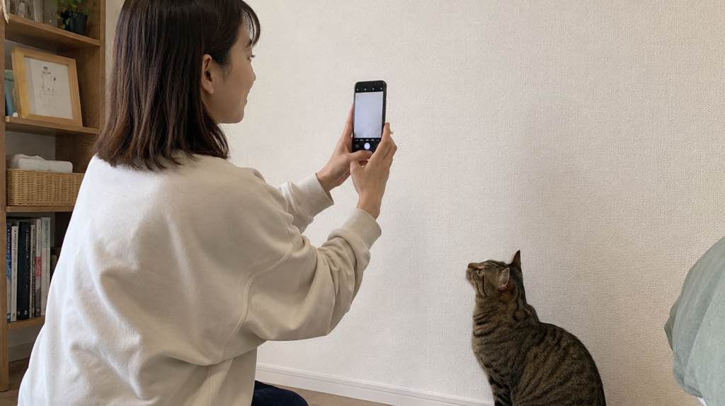 設置前の撮影