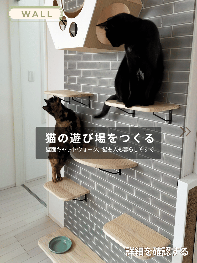 猫の遊び場をつくる