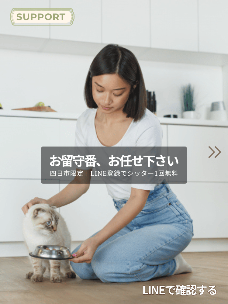 お留守番、お任せください