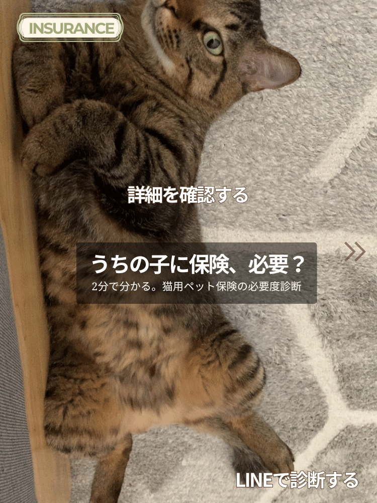 うちの子に保険、必要？