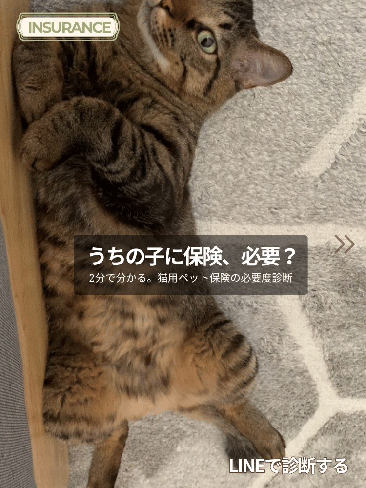 うちの子に保険、必要？
