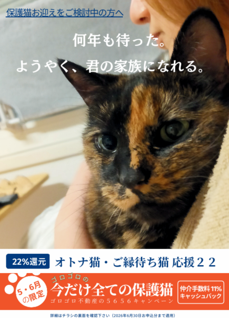 オトナ猫・ご縁待ち猫「5656キャンペーン」
