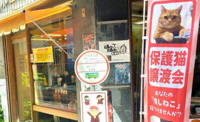 スワマエ商店街・水谷仏具店前に掲げられた保護猫譲渡会ののぼり旗
