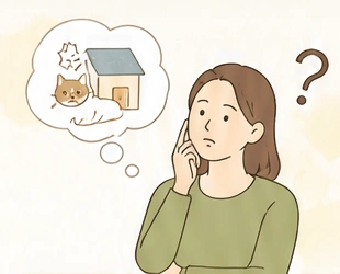 猫に安全な住まいについて考える女性